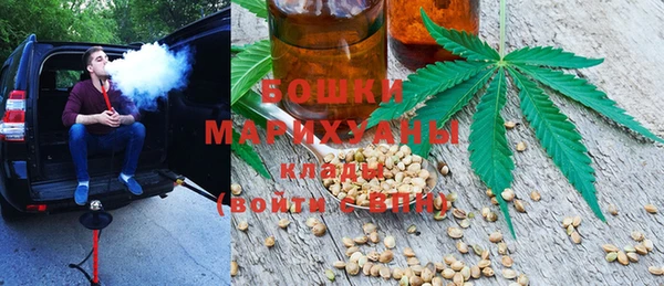 PSILOCYBIN Иннополис
