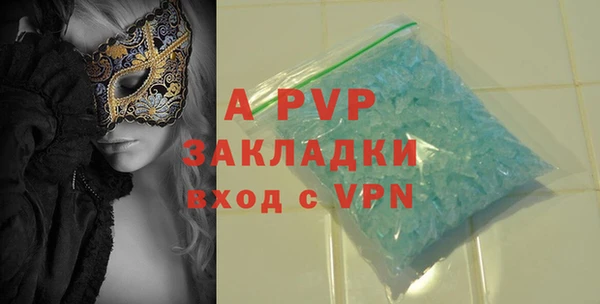 PSILOCYBIN Иннополис