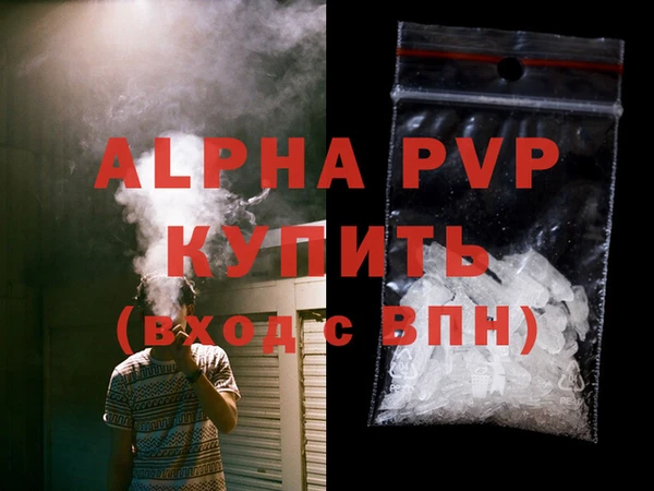 PSILOCYBIN Иннополис