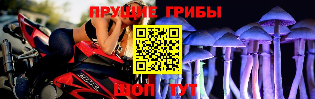Псилоцибиновые грибы прущие грибы Саранск